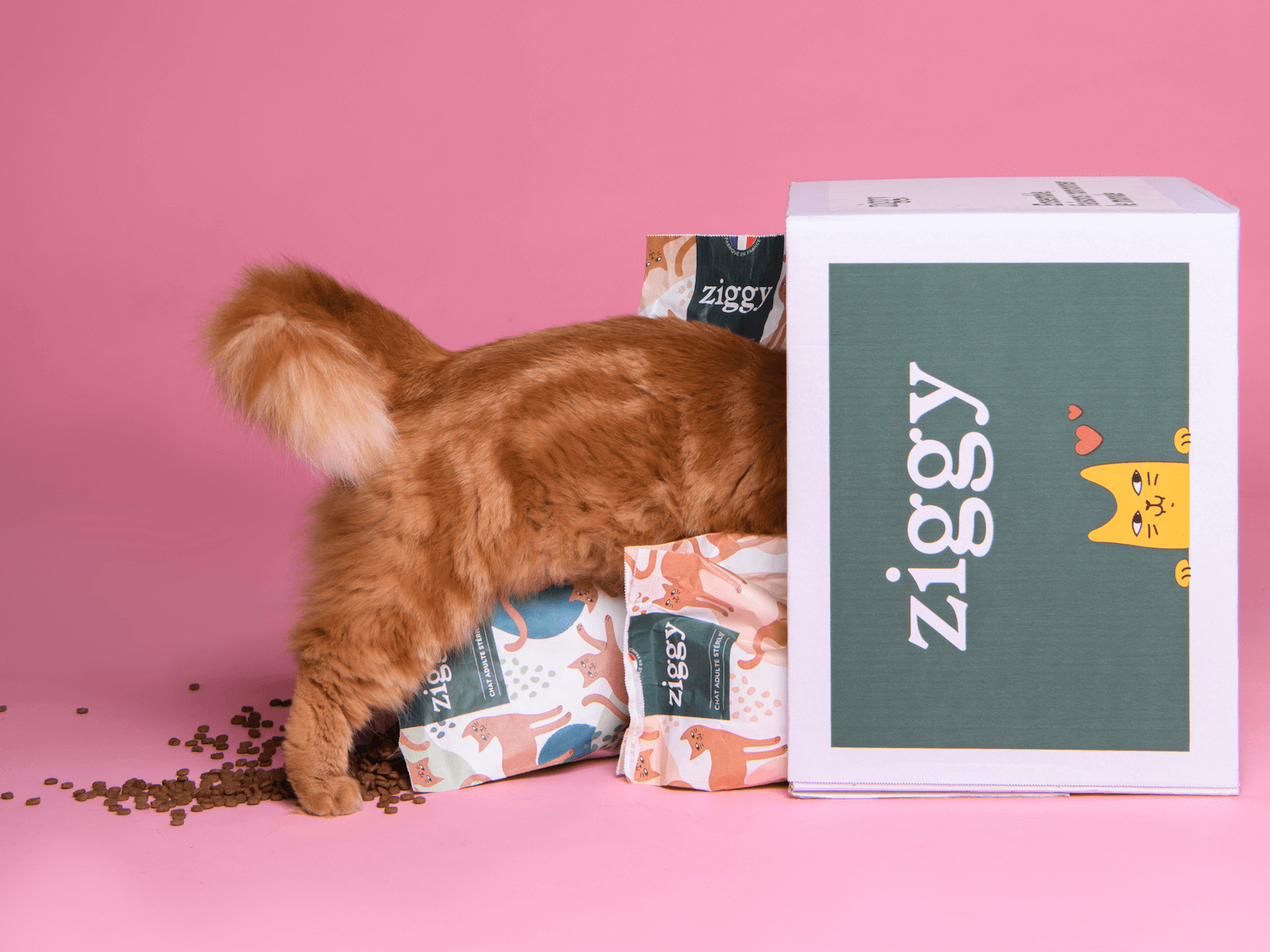 Croquettes pour chat