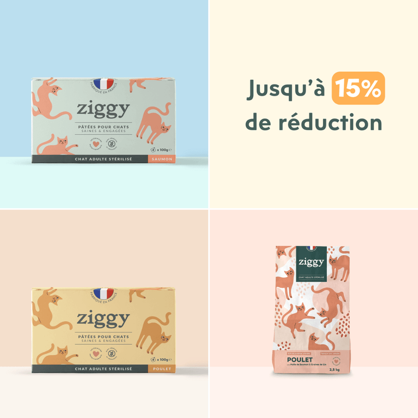 15% de réduction sur le coffret personnalisé Ziggy, alimentation pour chat saine, naturelle et française