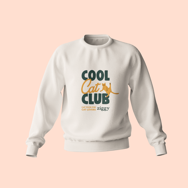 Pull Ziggy - Cool Cat Club
