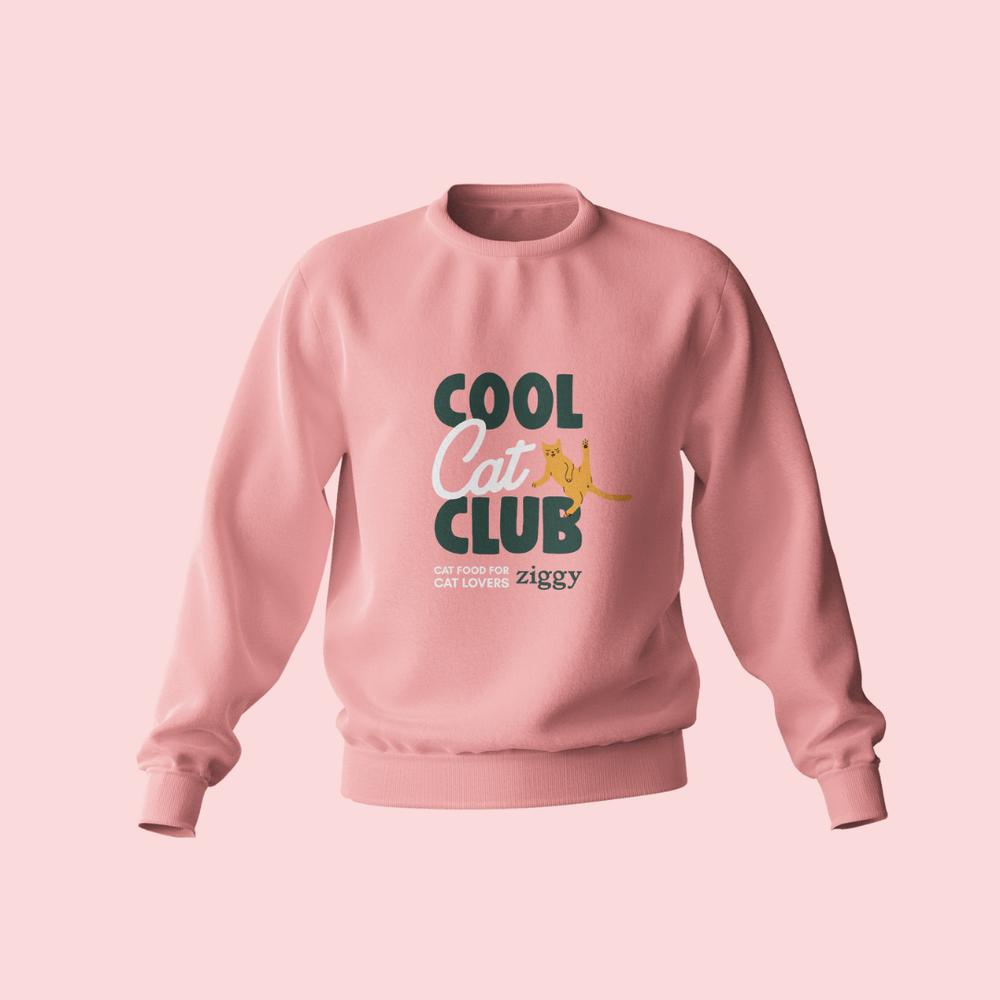 Pull Ziggy - Cool Cat Club