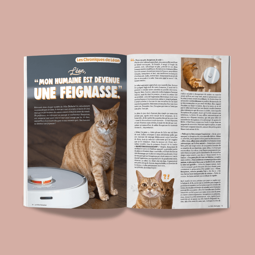 Couverture du magazine Ziggy Le Félin Déchaîné, édition n°14