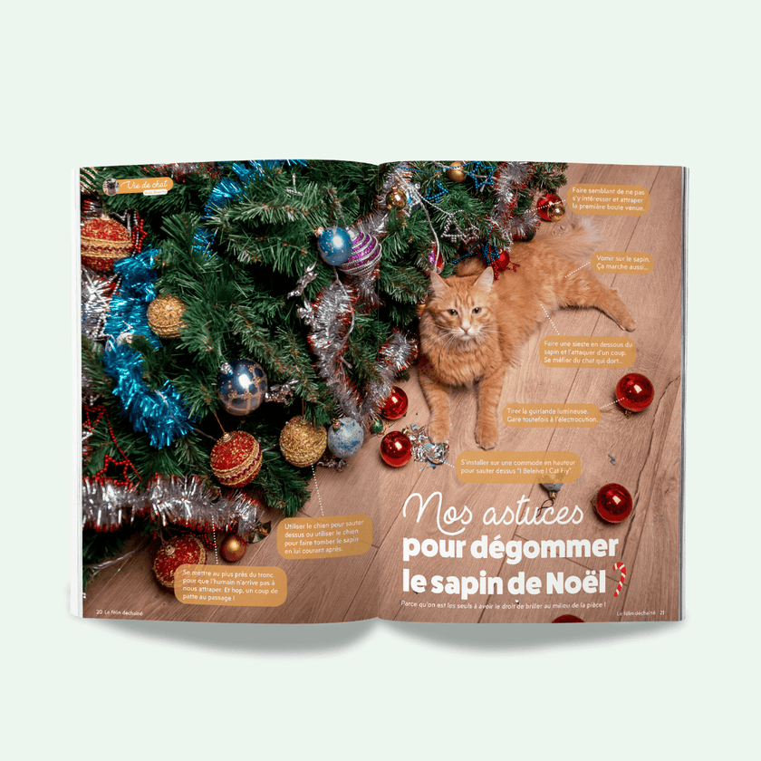 Page du magazine n°2 Ziggy pour les chats, le Félin Déchaîné