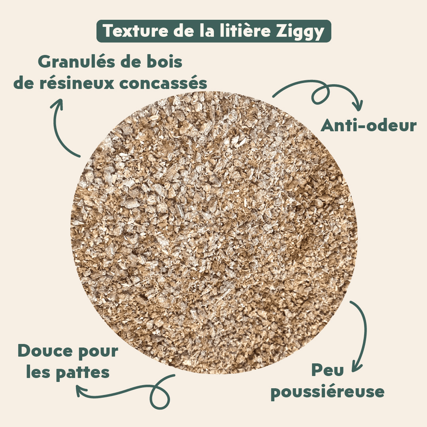 Texture de la litière végétale pour chat 100% naturelle Ziggy