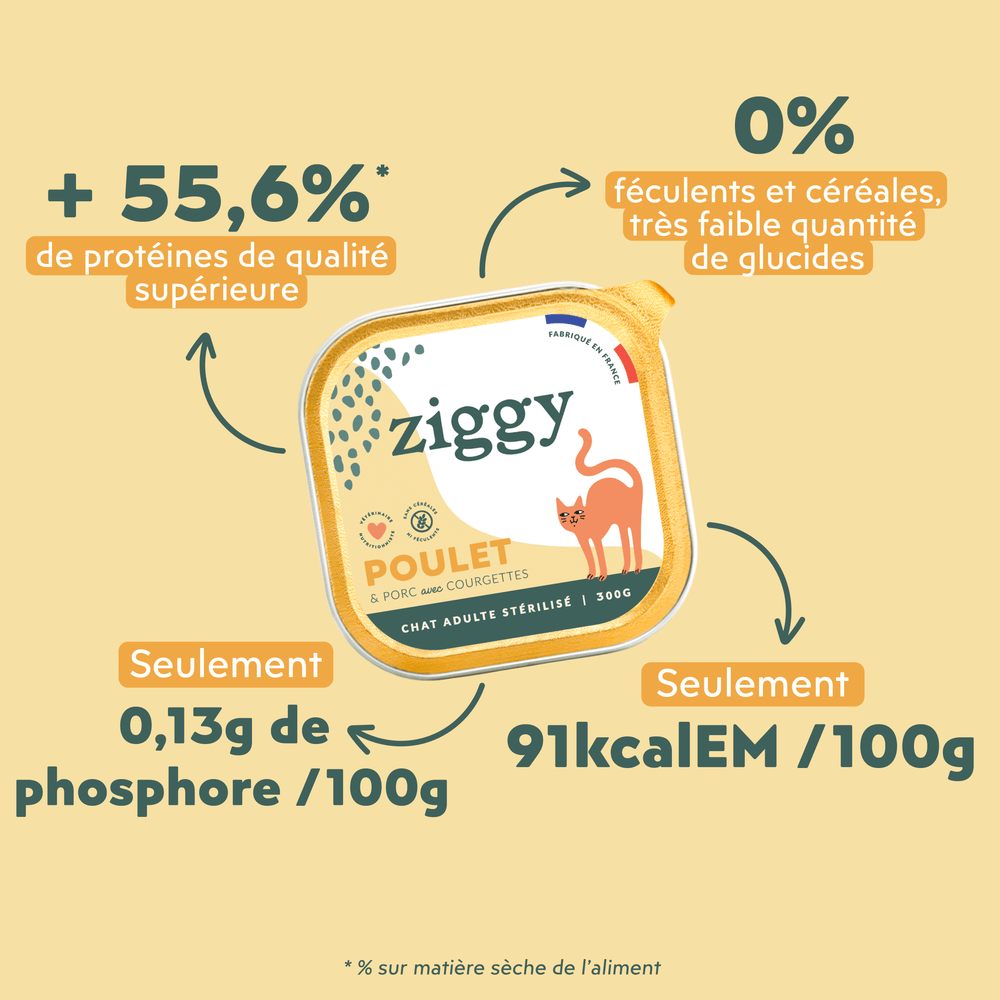 Illustration des croquettes et pâtées pour chat et chaton Ziggy, saines et sans céréales