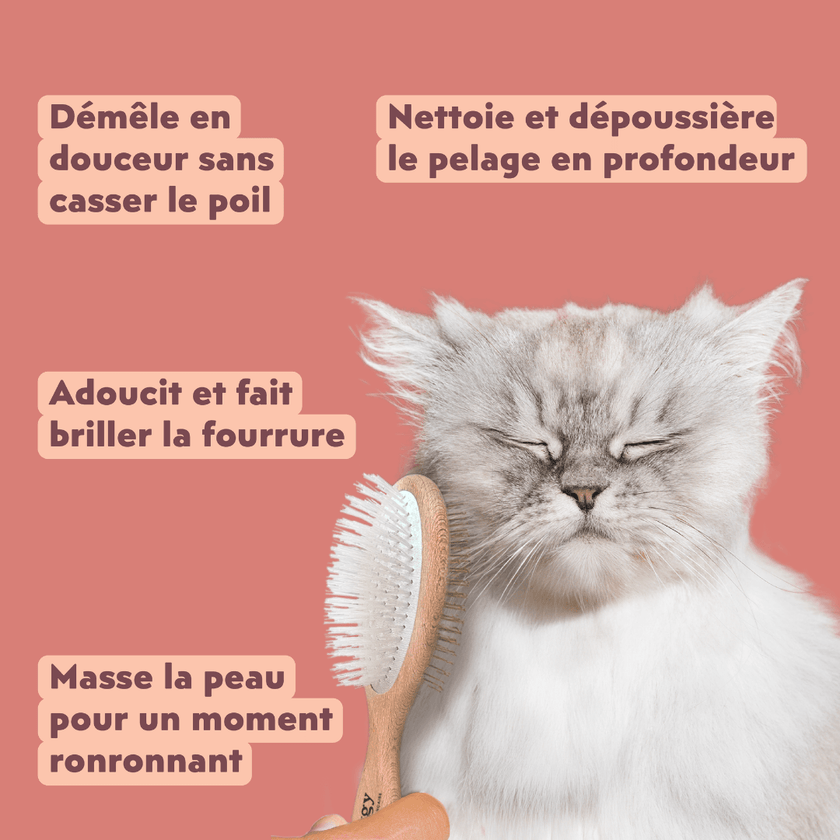 Bienfaits de la brosse pour chats double tête Ziggy