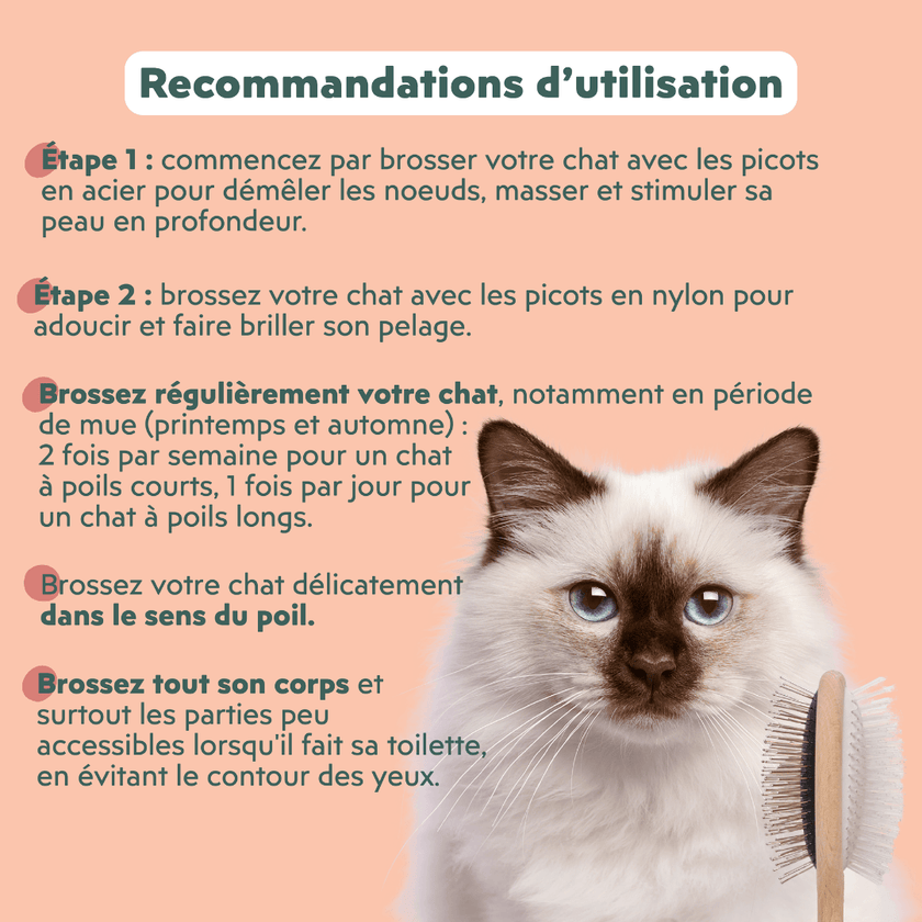 Recommandations d'utilisation de la brosse pour chats double tête Ziggy