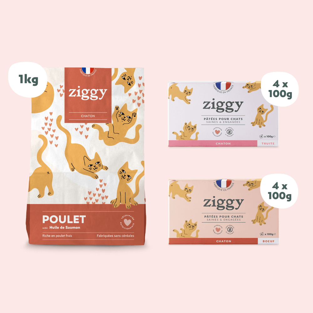 Composition du coffret pour chaton Ziggy alimentation pour chat et chaton saine et sans céréales