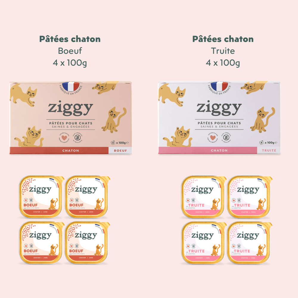 Composition du coffret pour chaton Ziggy alimentation pour chat et chaton saine et sans céréales