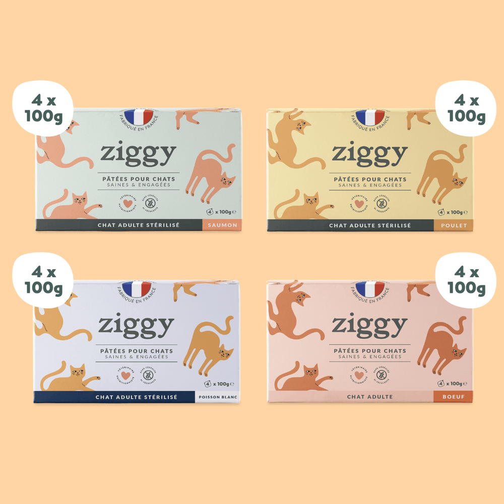 Composition du coffret pour chat adulte stérilisé Ziggy composé de 4 boîtes de 4 pâtées saines et sans amidon de 100g