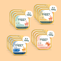 Composition du coffret découverte 16 pâtées Ziggy de 100g pour chat adulte, saines et sans amidon