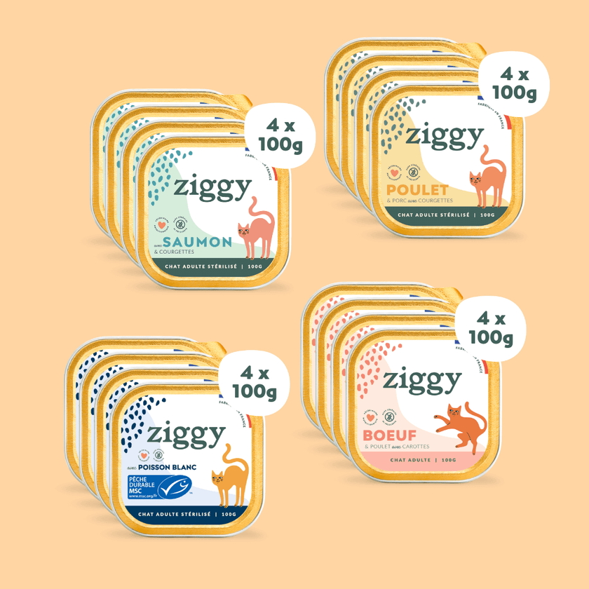 Composition du coffret découverte 16 pâtées Ziggy de 100g pour chat adulte, saines et sans amidon