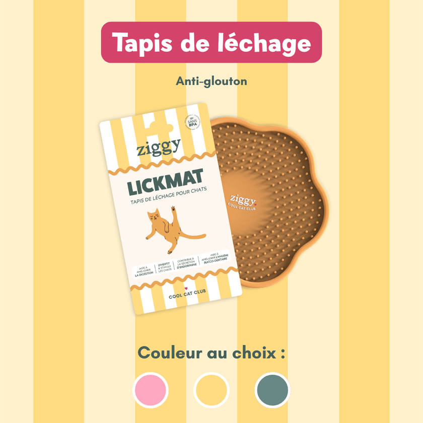 Contenu du coffret Chat Glouton pour chat adulte stérilisé de la marque Ziggy qui comprend pâtées pour chat adulte stérilisé et un tapis de léchage anti-glouton pour chat