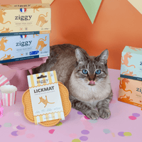 Contenu du coffret Chat Glouton pour chat adulte stérilisé de la marque Ziggy qui comprend pâtées pour chat adulte stérilisé et un tapis de léchage anti-glouton pour chat