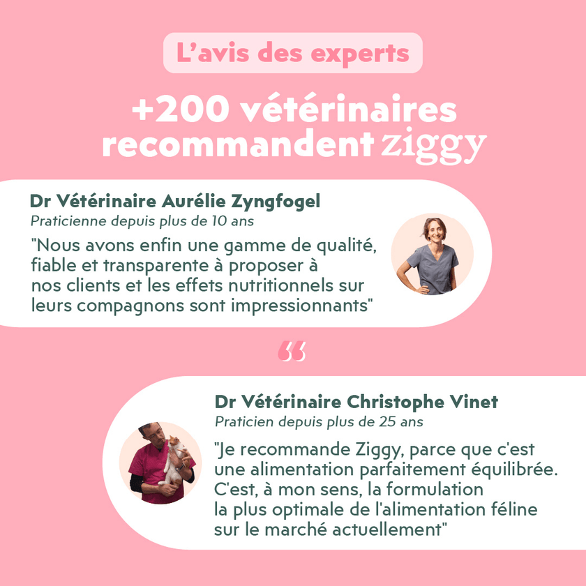 Contenu du coffret Chat Glouton pour chat adulte stérilisé de la marque Ziggy qui comprend pâtées pour chat adulte stérilisé et un tapis de léchage anti-glouton pour chat