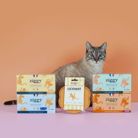 Coffret digestion pour chat adulte stérilisé