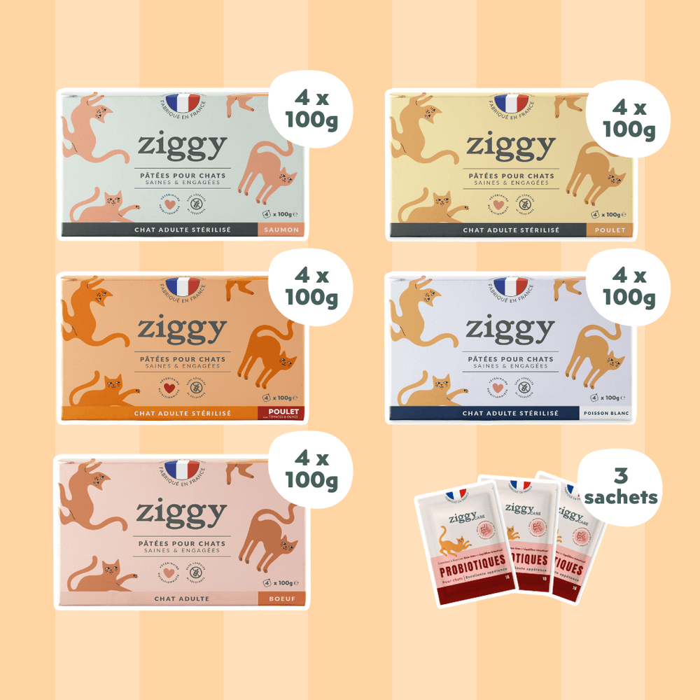 Coffret Découverte 5 Pâtées pour chat adulte stérilisé Ziggy