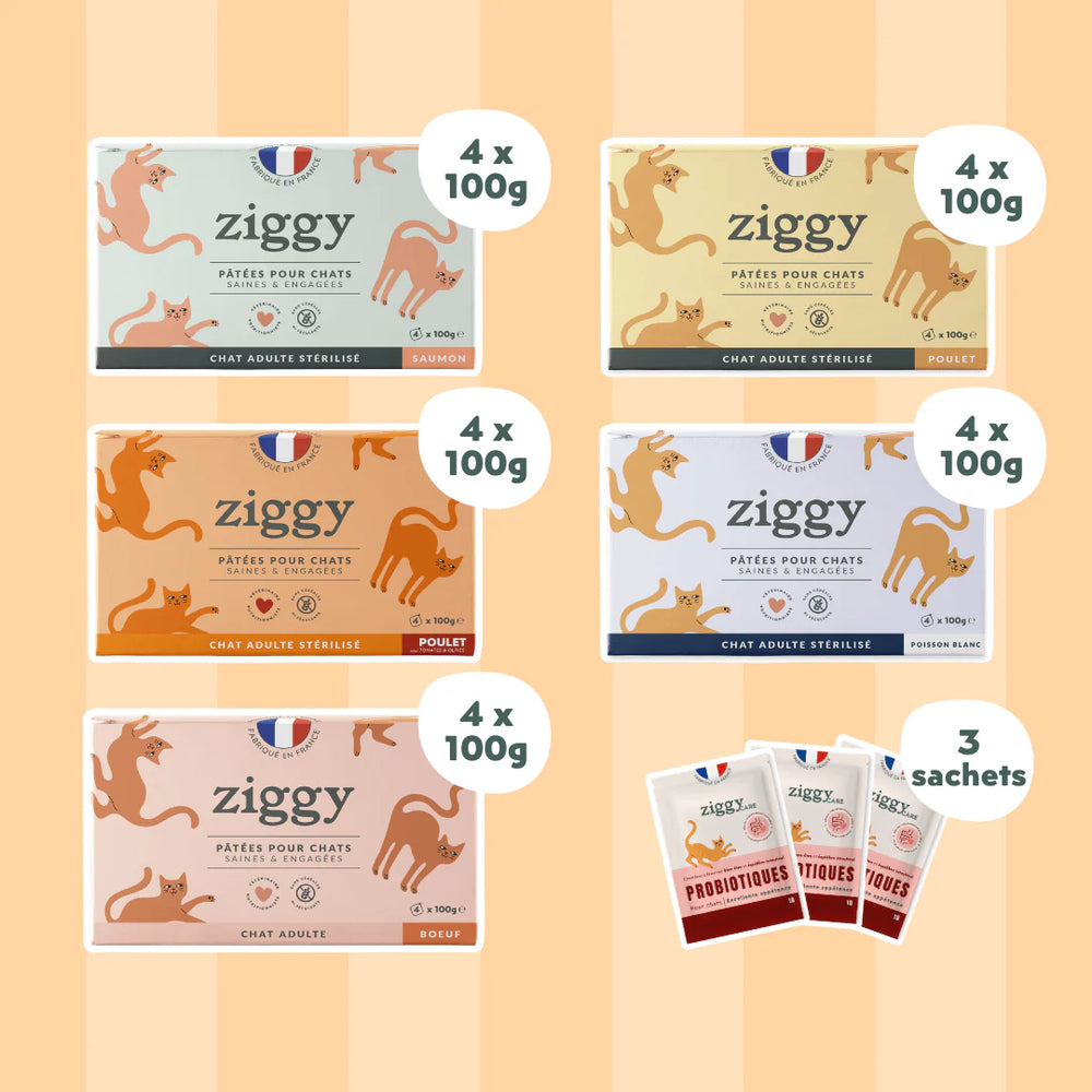 Coffret Découverte Pâtées - Poulet + Saumon + Boeuf + Poisson Blanc + 3 probiotiques Bundle