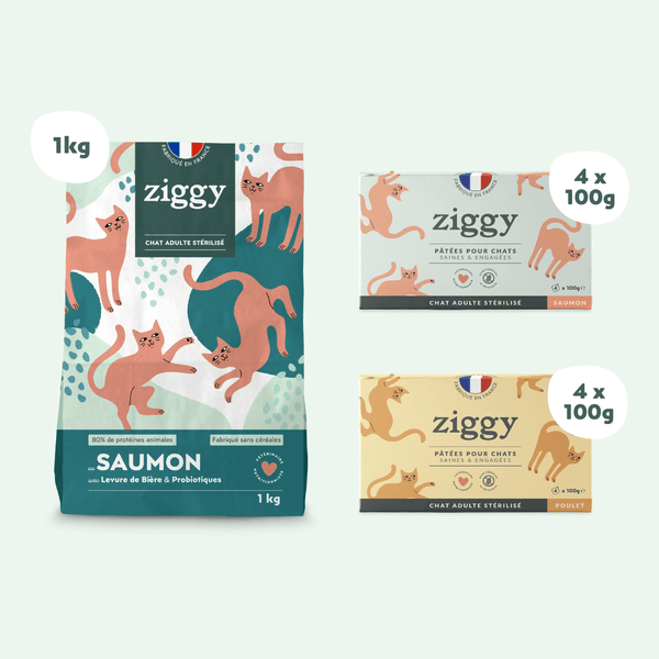 Composition du coffret pour chat adulte stérilisé Ziggy alimentation pour chat saine et sans céréales