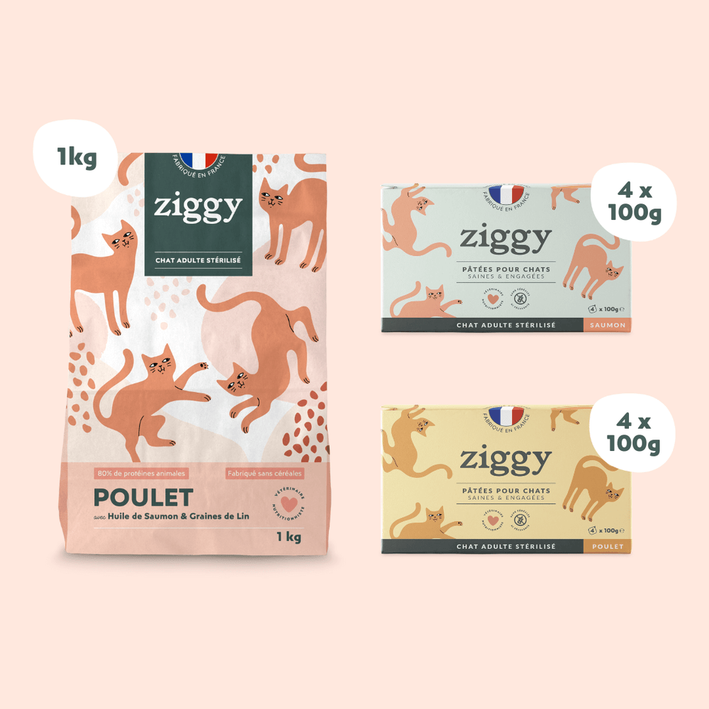 Composition du coffret pour chat adulte stérilisé Ziggy alimentation pour chat saine et sans céréales
