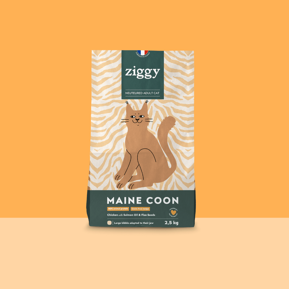 Sachet de 2,5kg de croquettes Ziggy pour chat adulte Maine Coon au poulet, saines et sans céréales