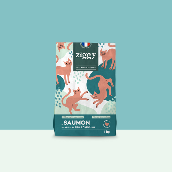 Paquet de 2,5kg de croquettes Ziggy pour chat adulte stérilisé au saumon, saines et sans céréales