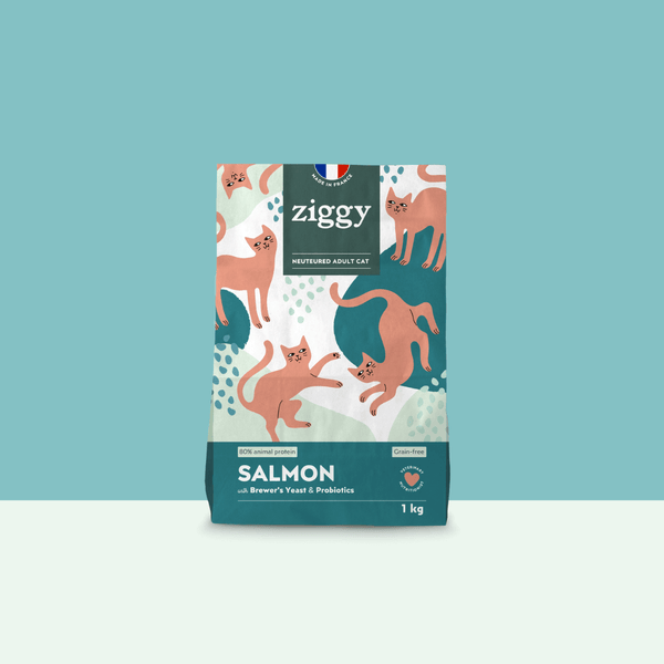 Paquet de 2,5kg de croquettes Ziggy pour chat adulte stérilisé au saumon, saines et sans céréales