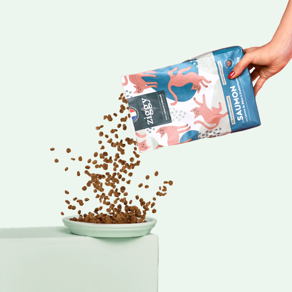 Paquet de 2,5kg de croquettes Ziggy pour chat adulte stérilisé au saumon, saines et sans céréales