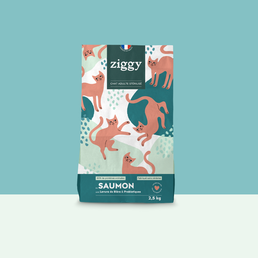 Paquet de 2,5kg de croquettes Ziggy pour chat adulte stérilisé au saumon, saines et sans céréales