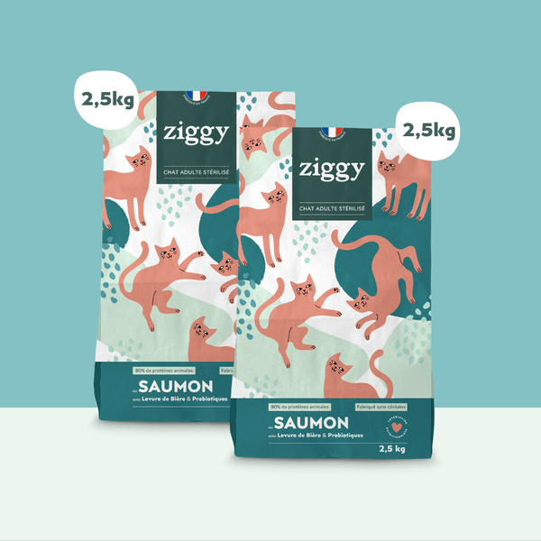 2 sachets de 2,5kg de croquettes Ziggy pour chat adulte stérilisé au poulet, saines et sans céréales
