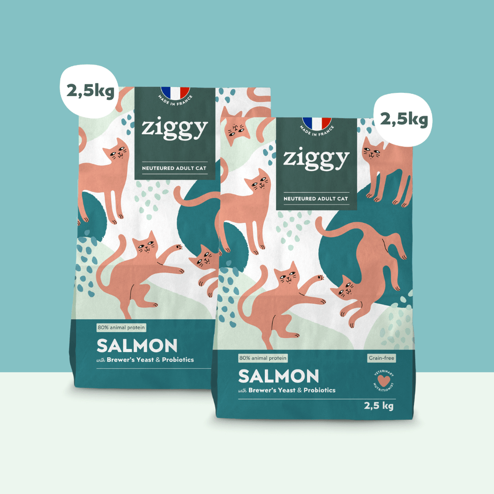 2 sachets de 2,5kg de croquettes Ziggy pour chat adulte stérilisé au saumon, saines et sans céréales