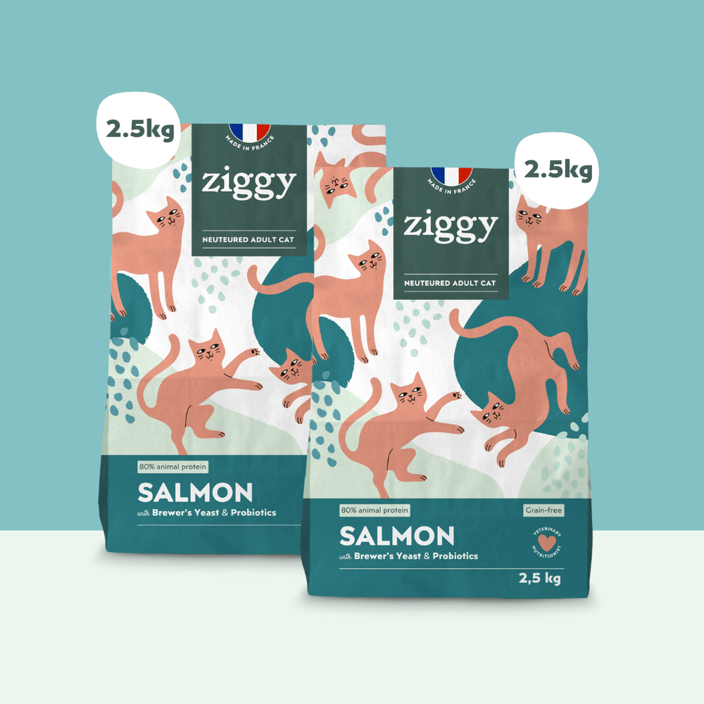 2 sachets de 2,5kg de croquettes Ziggy pour chat adulte stérilisé au saumon, saines et sans céréales