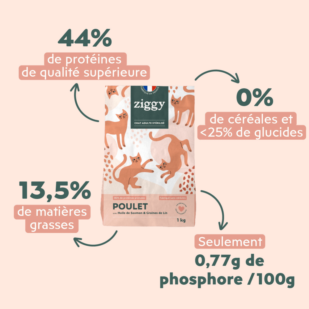 2 sachets de 2,5kg de croquettes Ziggy pour chat adulte stérilisé au poulet, saines et sans céréales