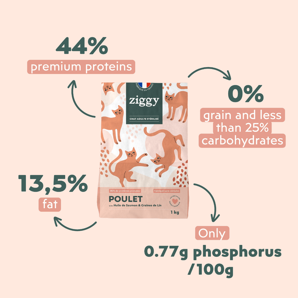 2 sachets de 2,5kg de croquettes Ziggy pour chat adulte stérilisé au poulet, saines et sans céréales