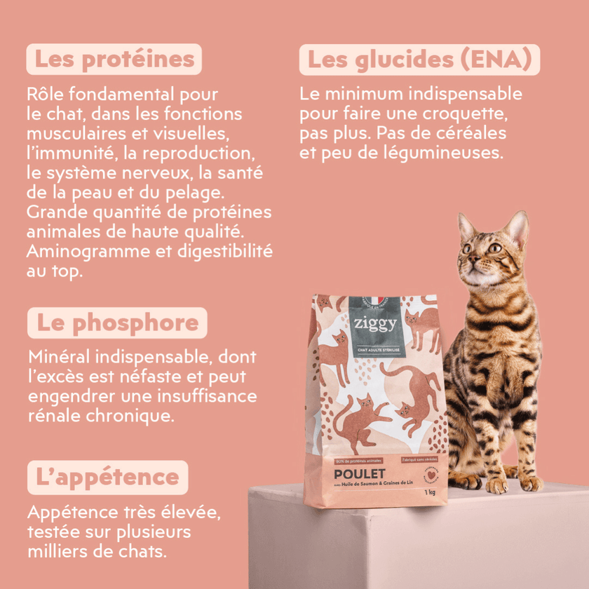 Composition des croquettes pour chat adulte stérilisé au poulet, saines, à base d'ingrédients naturelles et sans céréales