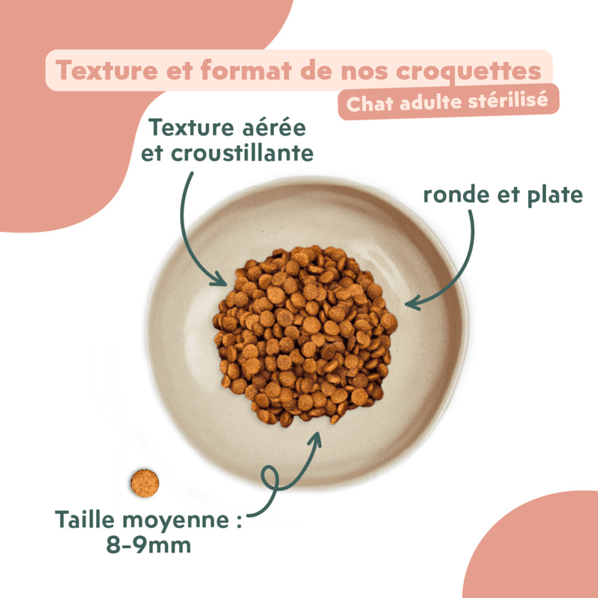Texture et format des croquettes pour chat adulte stérilisé au poulet, saines, à base d'ingrédients naturelles et sans céréales