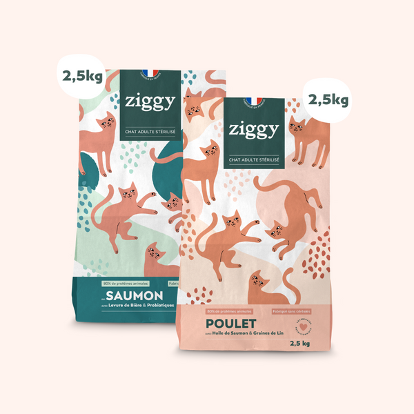 2 sachets de 2,5kg de croquettes Ziggy pour chat adulte stérilisé au poulet, saines et sans céréales
