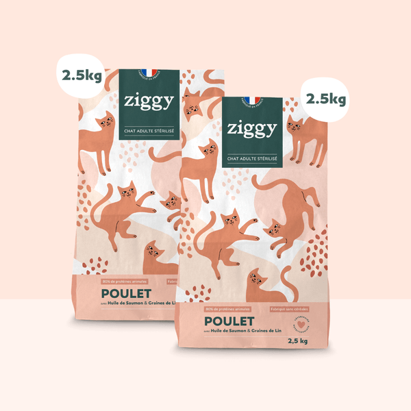 2 sachets de 2,5kg de croquettes Ziggy pour chat adulte stérilisé au poulet, saines et sans céréales