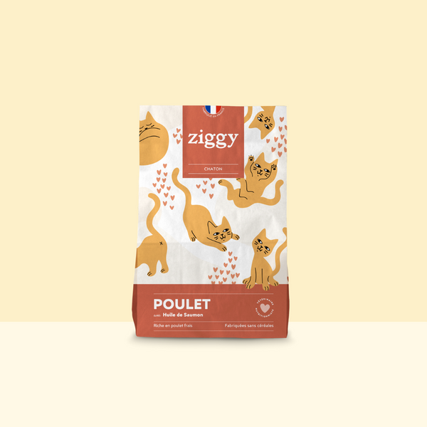 Paquet de croquettes pour chaton au poulet Ziggy