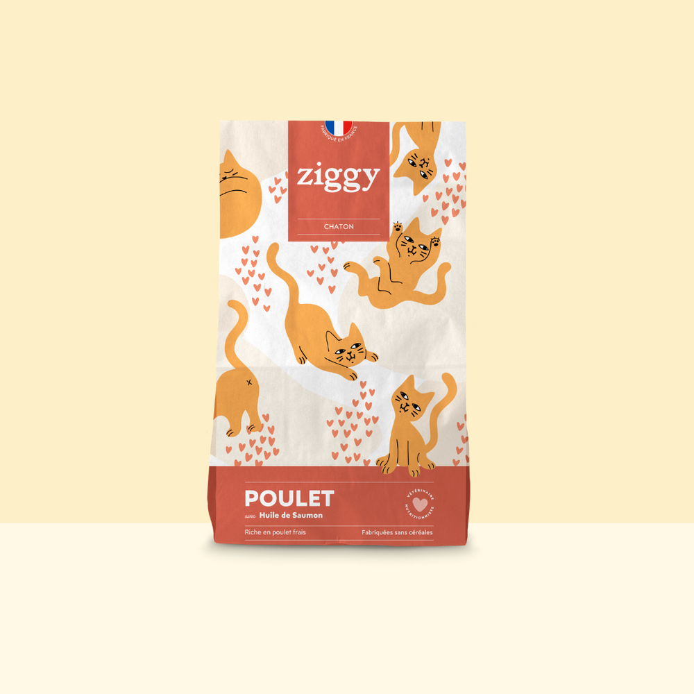 Paquet de croquettes pour chaton au poulet Ziggy
