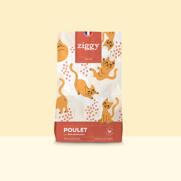 Paquet de croquettes pour chaton au poulet Ziggy