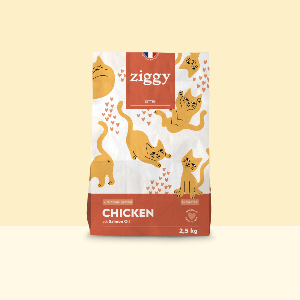 Paquet de croquettes pour chaton au poulet Ziggy