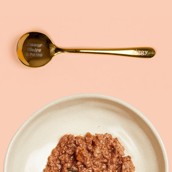 Cuillère à pâtée pour chat Ziggy