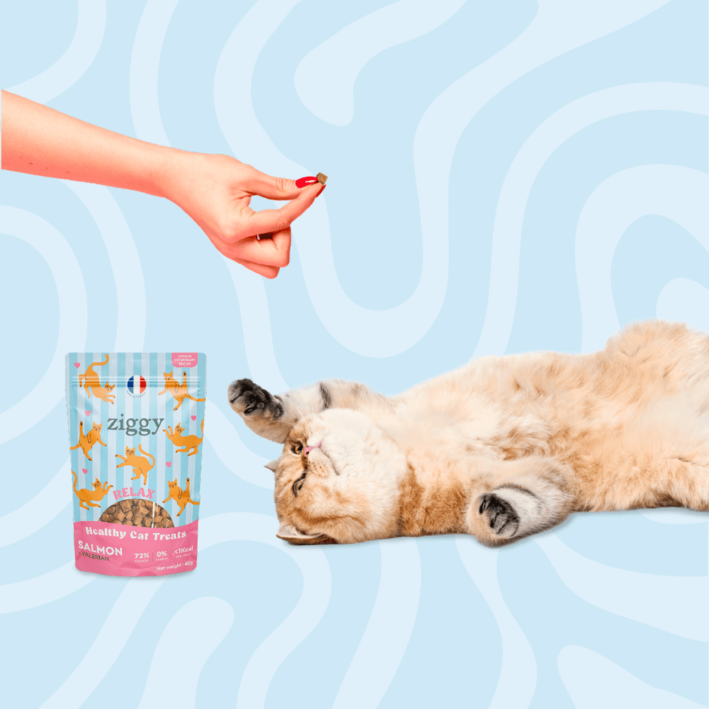 Paquet de friandises pour chat Ziggy au Saumon et à la Valériane
