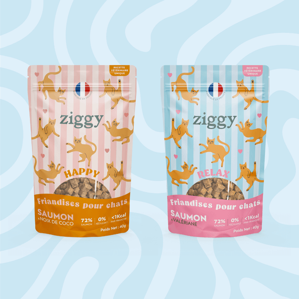 Paquet de friandises pour chat Ziggy au Saumon et à la Valériane