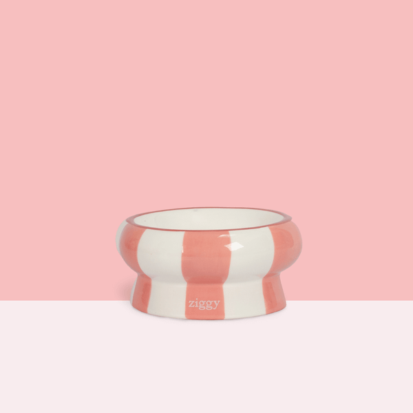 Gamelle pour chat Ziggy