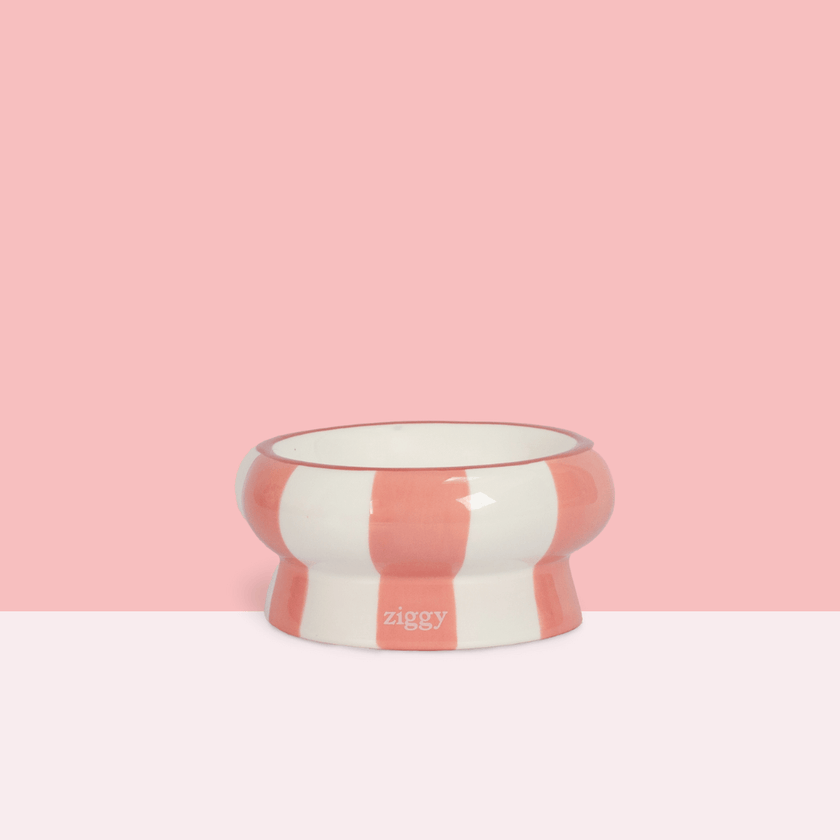 Gamelle pour chat Ziggy