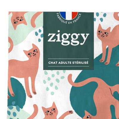 Croquettes pour chat adulte