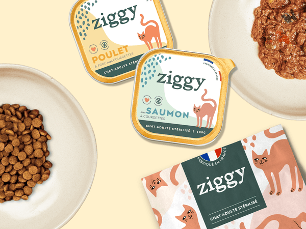 Français & Engagés