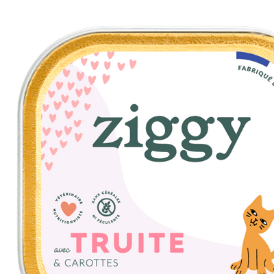 Pâtées pour chaton