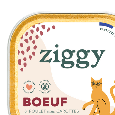 Pâtées pour chat sénior